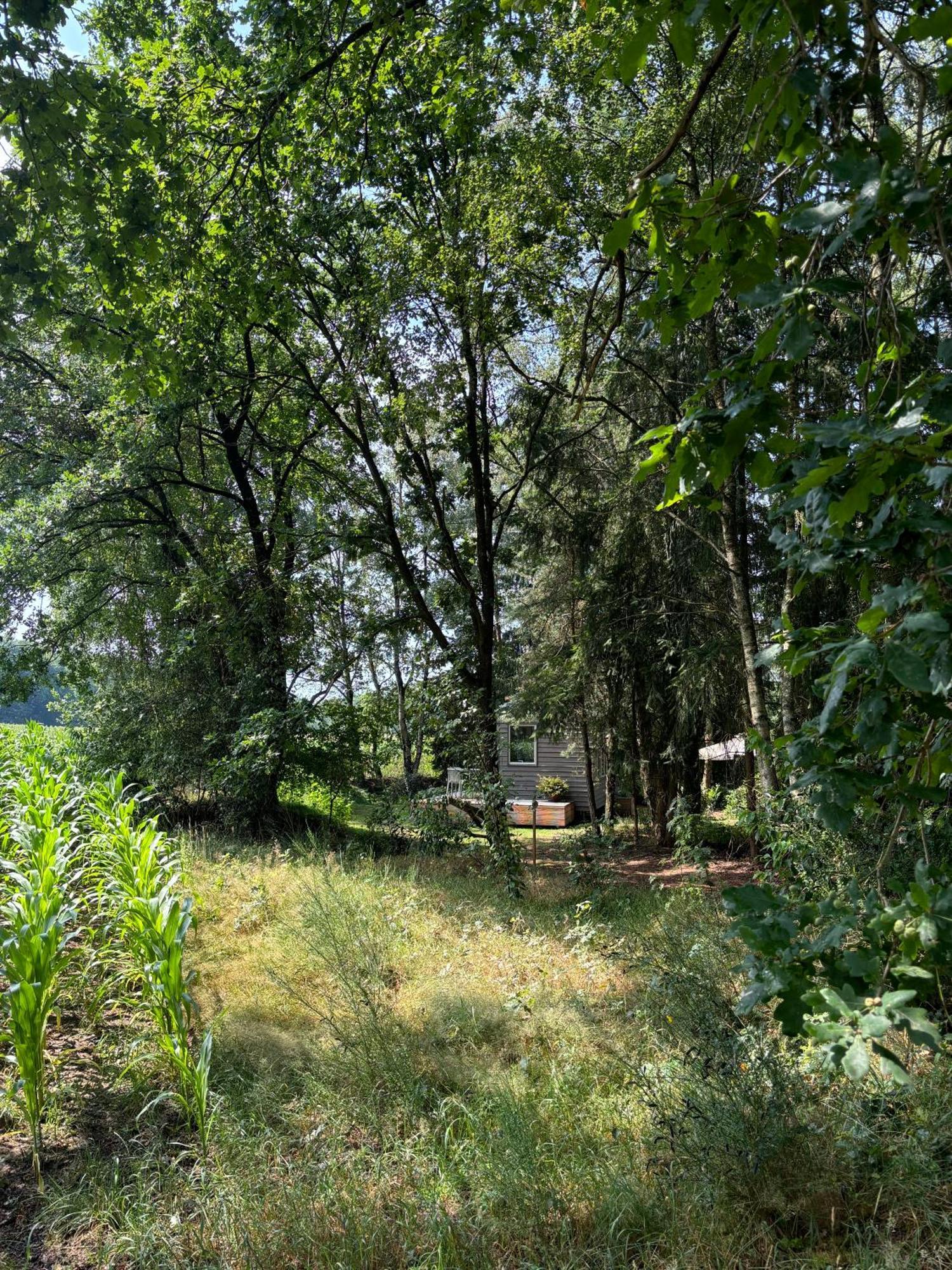 Tiny House Mit Garten In Der Lueneburger Heide Зольтау Екстер'єр фото
